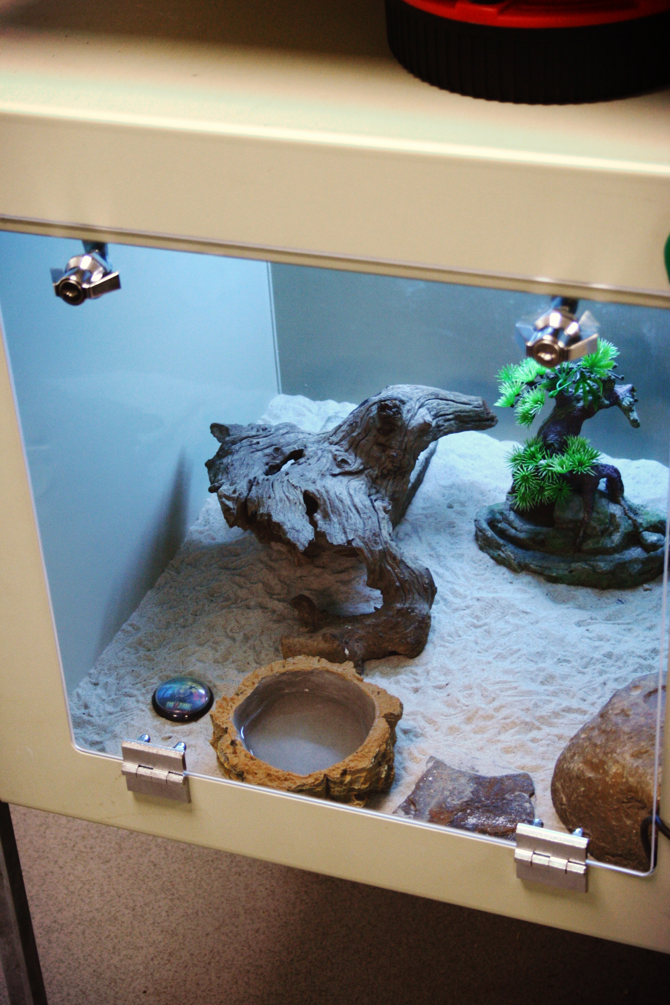 2ft Long x 2ft Wide x 2ft High Beige Vivarium