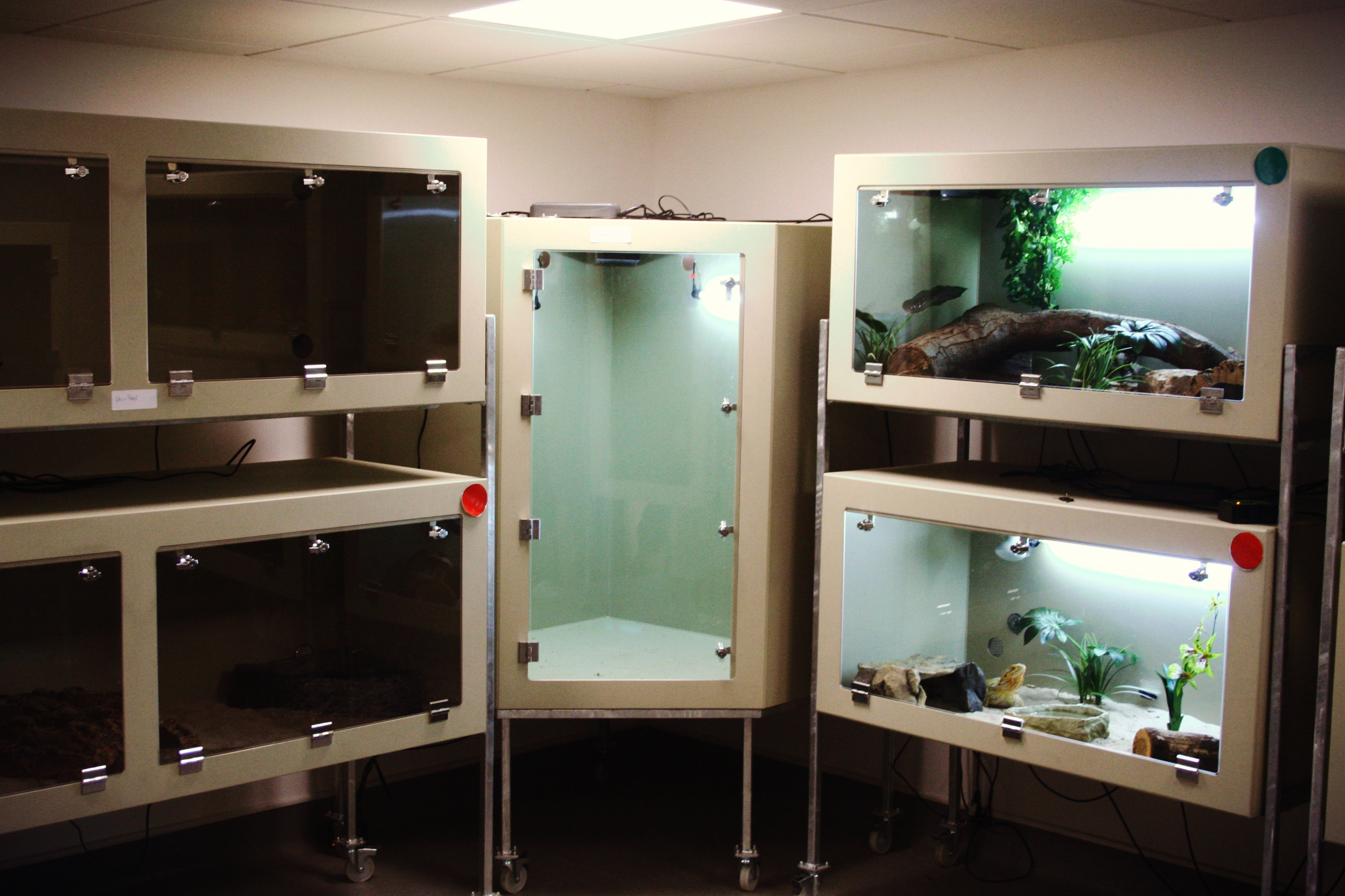 A range of vivariums for a reptile housing area in a wildlife park.