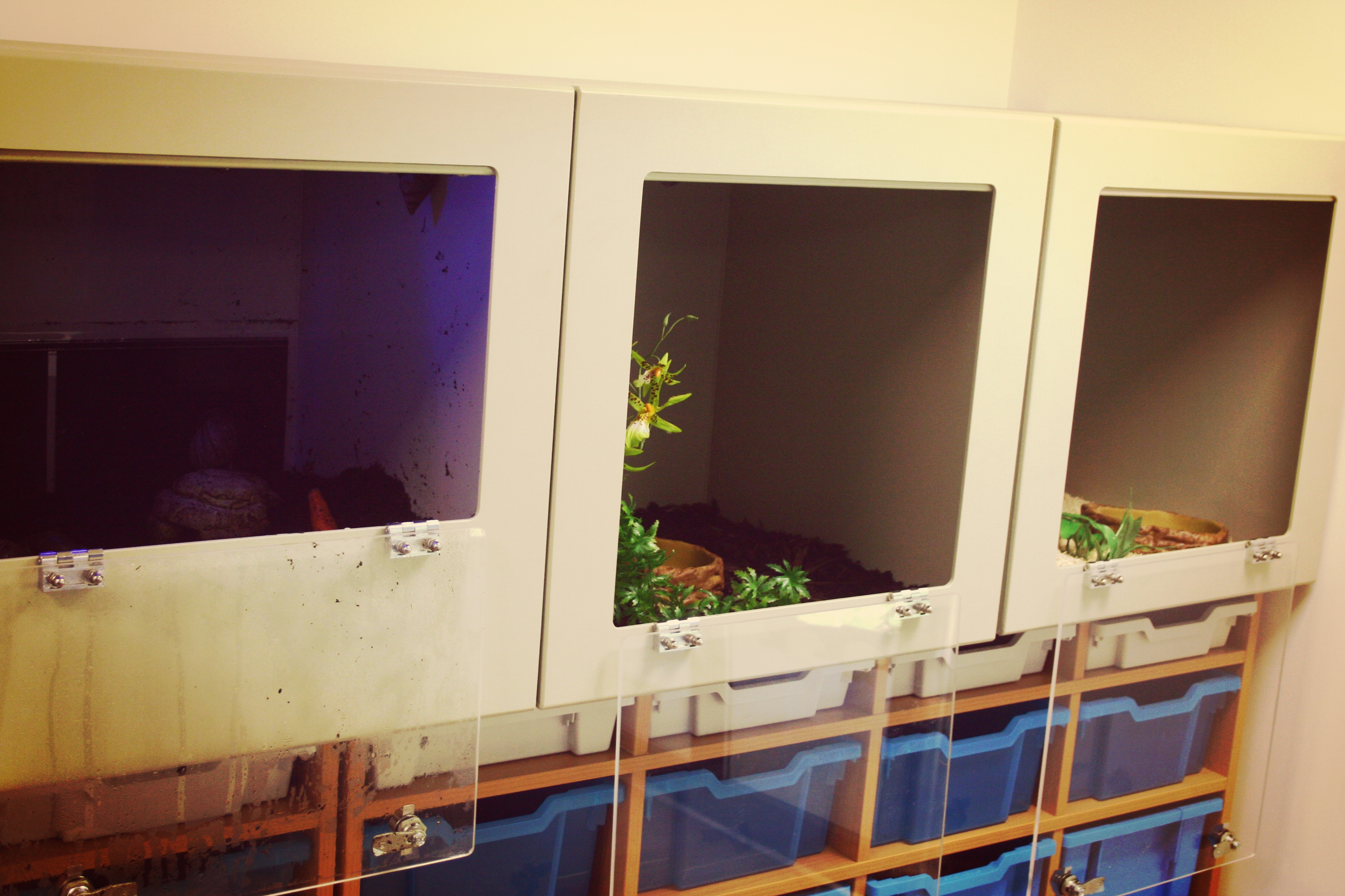 Two 2ft Long x 2ft High x 2ft Wide Beige Vivariums plus a 2ft Long x 2ft High x 2ft wide Vivarium with deeper substrate.