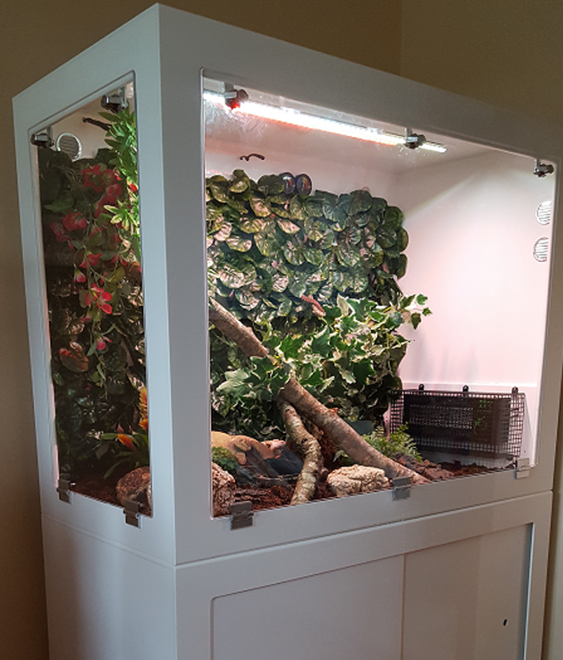 White 4ft x 2ft x 3ft Vivarium with Front & Side Windows, a Base and Sliding Doors.