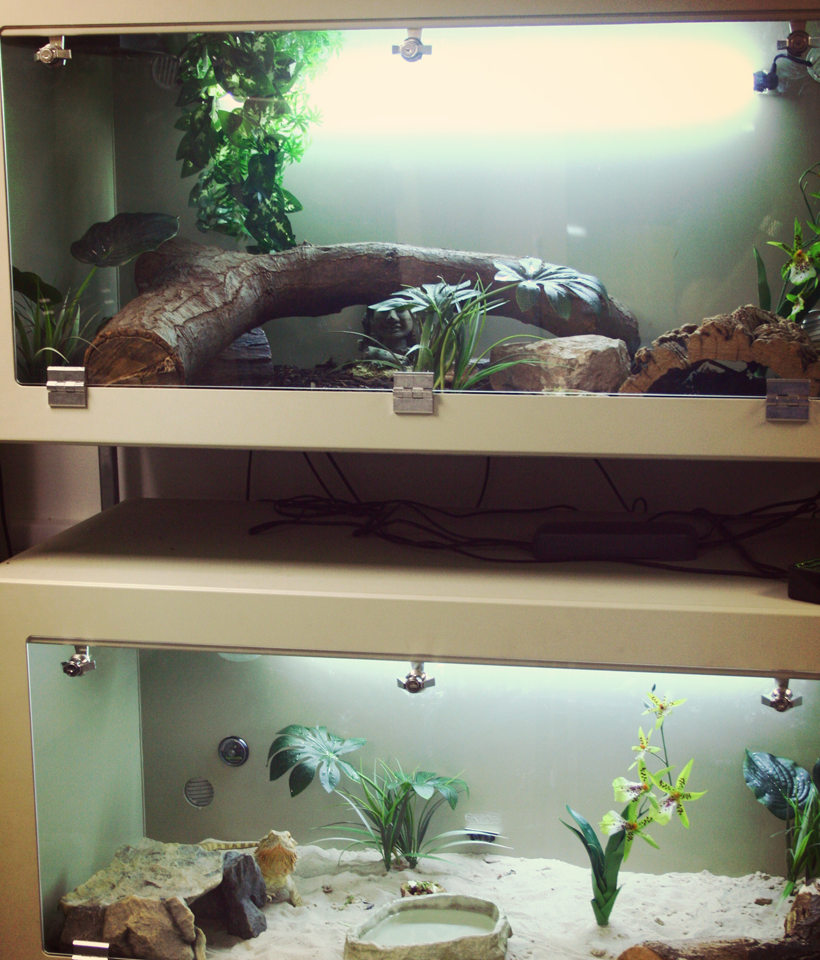 Two 4ft Long x 2ft High x 2ft Wide Beige Vivariums.
