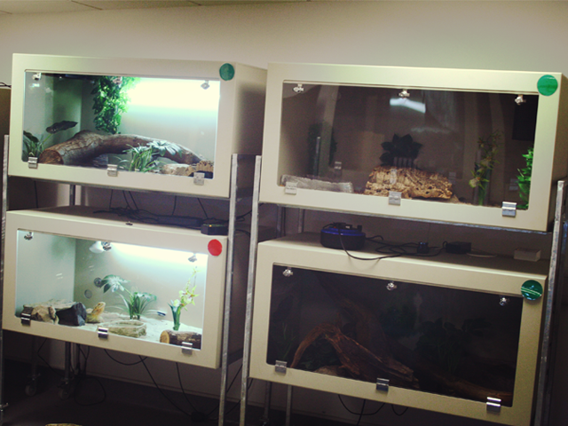 Four 2ft Long x 2ft Wide x 2ft High Beige Vivariums.