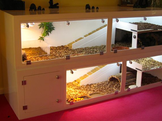 Bespoke Tortoise Enclosure (The Tortoise Hotel!)